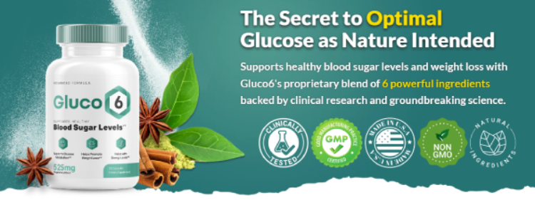 Gluco6 blood sugar support supplement bottle front view